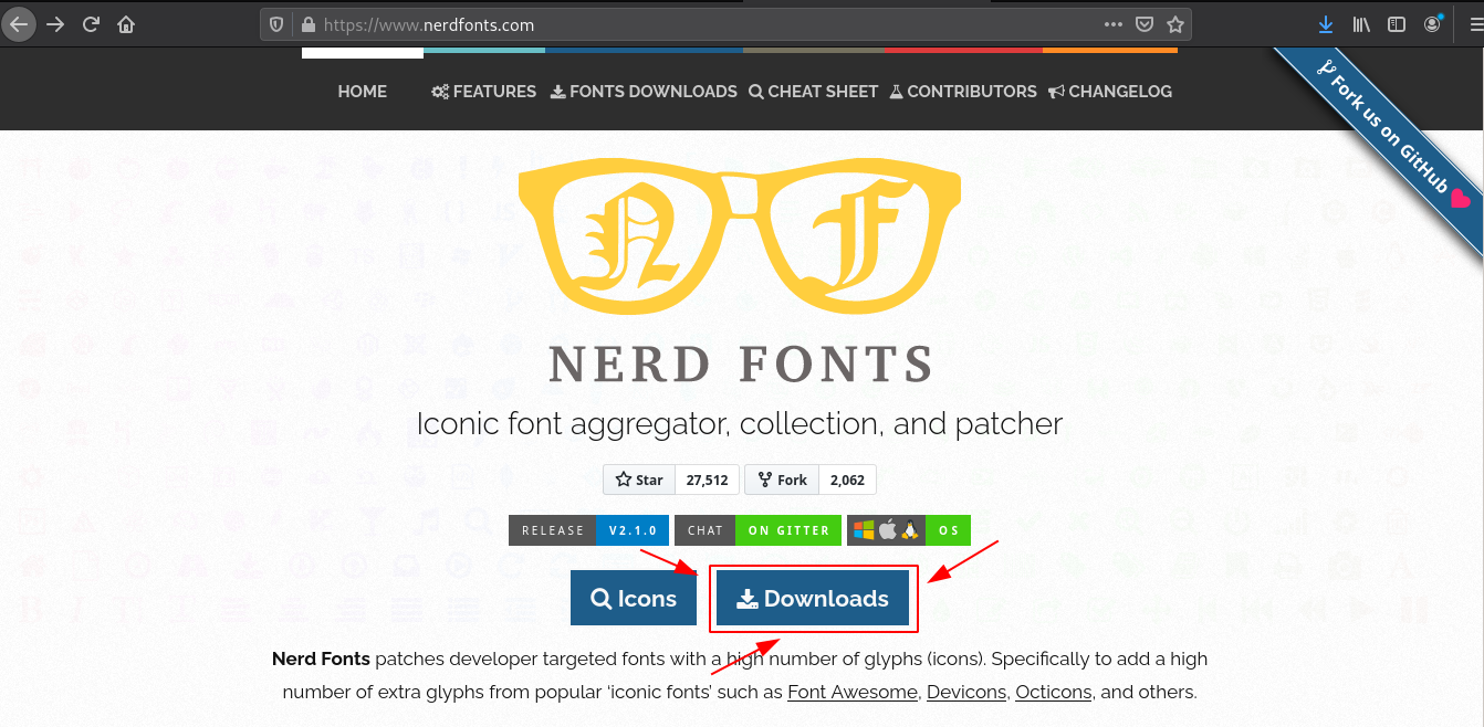 Install Nerd Font on Arch Linux –